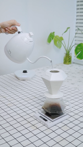 Brewista GEM Porcelain Dripper by Stefanos Domatiotis. Powered by Brewista