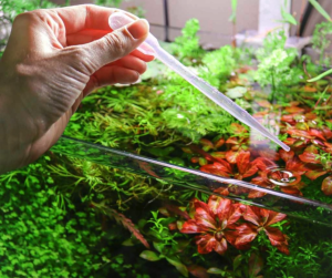 3mL / 5mL / 10mL Disposable Plastic Graduated Transfer Pipettes Dropper/ For Feeding Fish/Aquarium accessory