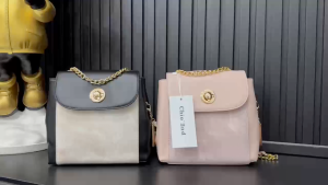 Balo Chl0 2 Đeo Chéo Đeo Vai MIX Được Nhiều Kiểu Size 22cm (Auth Tuồn)