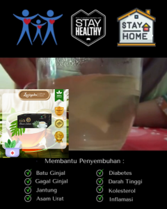 Teh Daun Sukun Premium Laasyaka Herbal (Dapat 2 Box)