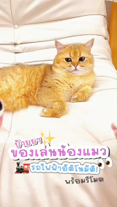 Mollypet ของเล่นแมว ขนนกไฟฟ้า รถอัตโนมัติ พร้อมรีโมต