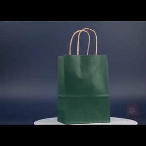 10Pcs Birthday Gift Bags Kraft Paper Bag with twist Handle Hand bag Gift