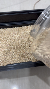 ซังข้าวโพด ไม่มีฝุ่น ที่รองกรงสำหรับแฮมสเตอร์ กระต่าย เม่นแคระ ดูดซับกลิ่นสามารถกินได้ไม่เป็นอันตรายต่อตัวน้อง