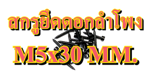 น๊อตลำโพง สกรู สกรูลำโพง M5x30 มม. ชุบดำ หัวหกเหลี่ยม น๊อตยึดดอกลำโพง สกรูเกลียวปล่อย อะไหล่ตู้ลำโพง สกรูยึดดอกลำโพง เกลียวปล่อยดอกลำโพง