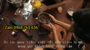 Máy xay lá ổi xay thân cây cành cây siêu mịn 2500gr mô tơ 4500w - Tặng kèm 2 bộ dao sơ cua