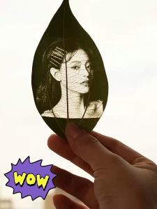 WAINLUX Z3 10W Laser Engraving Machine: DIY Customization of Leaves & High-Speed Engraving