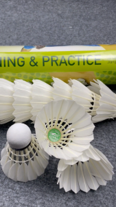 Hộp Cầu Lông Đế Gỗ XD104 (12 Quả) Ống Cầu Lông Vịt Trái Cầu Lông Vũ Trắng Quả Cầu Lông Vịt Thi Đấu Và Luyện Tập