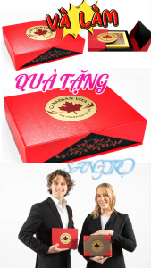 Nhân Sâm Củ Khô Canadian Vita 200g – Ginseng Roots (kèm túi)