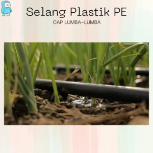 [50 Meter] Selang Plastik PE Diesel Drip Irigasi Sawah Cap Lumba Lumba