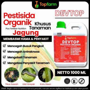 Obat Semprot Hama Daun Jagung / Obat Hama Jagung Ampuh / Obat Untuk Hama Ulat Pada Jagung / Obat Hama Untuk Tanaman Jagung / Obat Hama Jagung Manis / Pistisida Ulat Jagung