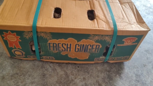 Thailand Bentong Ginger - Essential for Pregnancy Confinement Care and Postpartum Recovery | Halia Bentong Thailand Halal - Untuk Penjagaan Semasa Mengandung Penjagaan Berpantang dan Pemulihan Selepas Bersalin | 泰国文东姜 - 孕妇、坐月子和产后恢复 必备补品 100g/500g/1kg