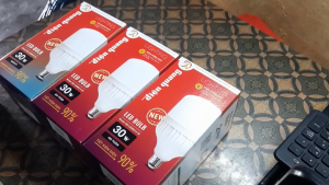 Bóng đèn led bulb Điện Quang 30W chính hãng
