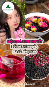 Mộc trà sinh huyết 30 set mix bổ máu bồi bổ khí huyết tăng sức đề kháng- Chợ Thảo Dược Việt