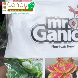 (SG Seller) MR GANICK Leafy Fertilizer 532 叶面肥 (Baba)