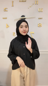 Blouse Lyra Crop Top Wanita Korean Style Lengan Panjang Polo Linen