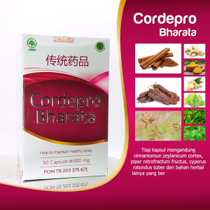 CORDEPRO BHARATA OBAT GAGAL GINJAL JANTUNG LAMBUNG PARU-PARU RADANG USUS ISK GAGAL HATI ASAM LAMBUNG