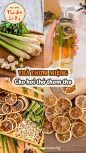 Trà thảo mộc thơm miệng 5-10 set trà thơm miệng khử mùi giúp hơi thở thơm mát thanh lọc cơ thể