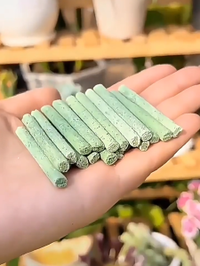 30Pcs/Box Plant Food Fertilizer Stick Slow Release Stick Nutrient For Houseplants Flower Potted Plants Garden ę¤ē©ē¼éč„å
»ę£