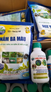 Bộ Đôi NẤM BA MÀU Và Bám Dính Sinh Học Trừ Sâu Rầy Rệp Sáp Nhện Đỏ