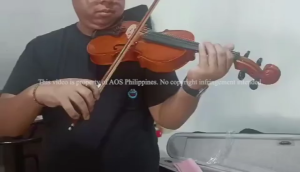 AOS Professional Violin Plywood Material 4/4 Full Set of Accessories