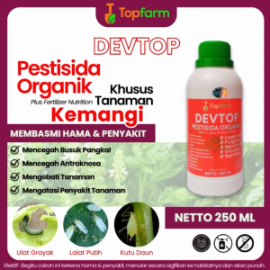 Obat Hama Buat Daun Kemangi / Obat Tanaman Kemangi / Obat Semprot Daun Kemangi / Pestisida Nabati Buat Tanaman Daun Kemangi / Obat Semprot Daun Kemangi / Obat Hama Penyakit Kemangi