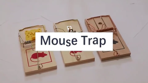 2/4/10Pcs Reusable Wooden Mouse Traps Classic Mice Rat Pet Rodent Control Catch Trap