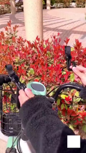 [HCM] Móc Đôi Treo Đồ Đa Năng Gắn Xe Đẩy Xe Đạp Ôtô Xoay 360 Độ Chống Rơi Tiện Dụng -GL314