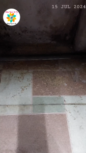 (Hàng Loại 1) Thuốc diệt chuột Lúa diệt chuột Broma cam kết chuột mất tích sau 2 3 ngày Bít Chuột Lâu Dài Sau 2-3 Ngày Bịch 1, 3, 5 Để Chọn Lựa - Lazada