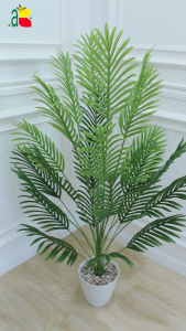 TANAMAN PAKIS MB JUMBO 24 CABANG & DEKORASI RUMAH KANTOR CAFE