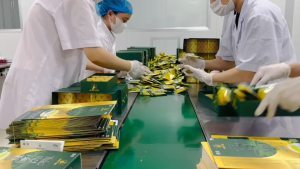 TRÀ MÁT GAN MẪU MỚI