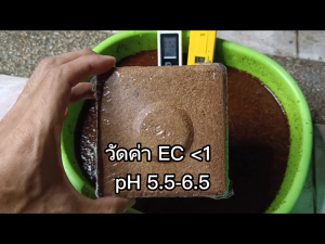 ขุยมะพร้าว อัดก้อน ชุด 10 ก้อน ก้อนละ200กรัม ล้างสาร อ่านรายละเอียดหรือสอบถามทางแชตก่อนสั่งซื้อ