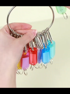 Metal Ring Key Organizer Holder with 20 Key Tags Spring Hooks Landlord Key Chains Rental Accessories