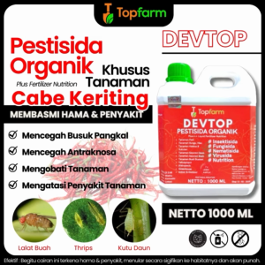 Obat Semprot Daun Cabe Keriting / Obat Untuk Daun Cabe Yg Keriting / Obat Tanaman Cabe Keriting Daun / Obat Cabe Keriting Dan Kuning/ Obat Keriting Daun Cabe Ampuh / Obat Cabe Keriting Daun