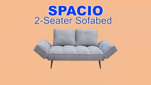Homemaker Furniture Spacio 2-Seater Sofa  Convertable to Single Bed