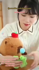 พร้อมส่ง ตุ๊กตาคาพิบาร่า ตุ๊กตาเจ้าหนูสีน้ำตาล ขนนิ่ม มีหลายไซส์ 35-65cm.