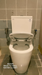 CHS26603-BTW RIMLESS 3/6L DUAL OUTLET WASHDOWN CLOSE COUPLED WATER CLOSET P TO S-TRAP 100-250MM - TOILET BOWL
