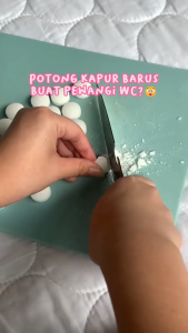 Kapur Barus Putih Kecil Kamper Toilet Pewangi WC Lemari Baju Murah