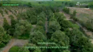 ปุ๋ยทุเรียน โปรยกลัง เวิลด์แพลนท์ ไคโตซาน World Plant Chitosan + สารเพิ่มประสิทธิภาพ คู่หูมหัศจรรย์ ของแท้100%