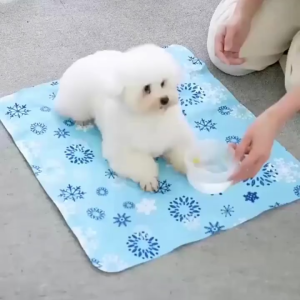 ❤Lovepett❤ แผ่นเจลเย็นแมว แผ่นเจลเย็นสุนัข ที่นอนแมว ที่นอนหมา เบาะนอนเย็น ที่นอนเจลเย็น แผ่นเจลเย็น