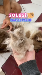 Vitamin penumbuh bulu kucing spray serum perawatan bulu kucing kitten semprot anti rontok pelebat bulu 60ml