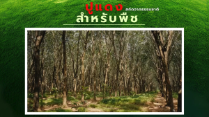 อินทรีย์ปูแดง ขนาด 1 ลิตร