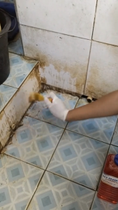 Pembersih Kerak Porselen Lantai Dinding Wastafel WC Kamar Mandi Klinbos isi 1 Liter Bonus Kuas dan Sarung Tangan