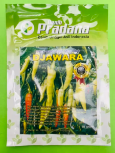 Benih cabai rawit putih DJAWARA isi 10gr dari BENIH PRADANA F