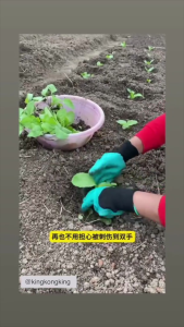 KKKing Garden Gloves Green/Purple/Brown Planting Claw Rubber Gloves Plant Safety Gloves