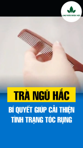 Set 5 gói trà ngũ hắc nguyên liệu đã được rang thơm hỗ trợ mọc tóc thanh lọc cơ thể - Chợ Thảo Dược Việt