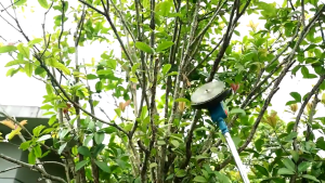 MAKITA Portable Grass Trimmer & Heavy Duty Grass Cutter: A Comprehensive Guide