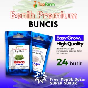 Benih Kacang Buncis Terlaris: Benih Buncis Super Lebat & Terbaik