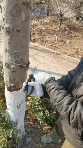 5pcs/set Wire Tensioner Pengencang Kawat Seling Pengencang Kabel Pagar Listrik Kejut