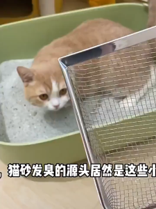 【COD】Cat Litter Scoop with Hooking Wooden Handle Fine Mesh Non-stick Stainless Steel Pet Cleaning Tools