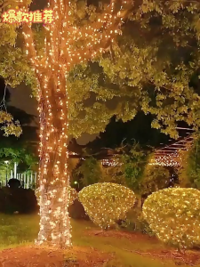 Solar Light 100LED Outdoors Solar String Light Modes Solar Lamp Waterproof for Gardens Wedding Party /Valentines /Christmas Decorations for Home